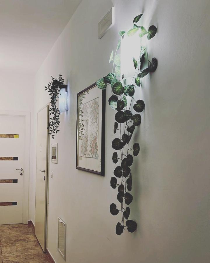 Esperanto B&B Bari Exteriér fotografie